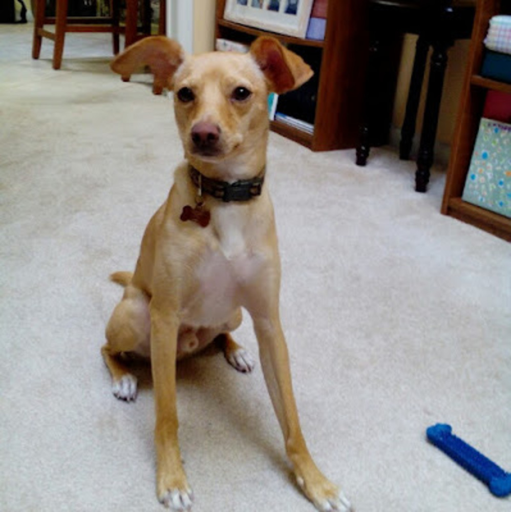 Meet your Posher, Kaylee